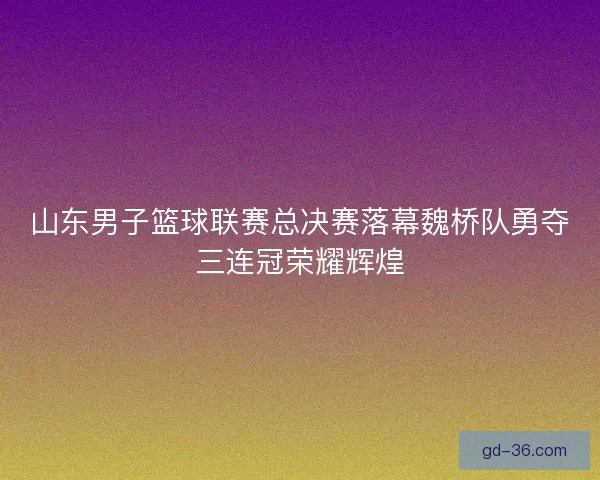 山东男子篮球联赛总决赛落幕魏桥队勇夺三连冠荣耀辉煌